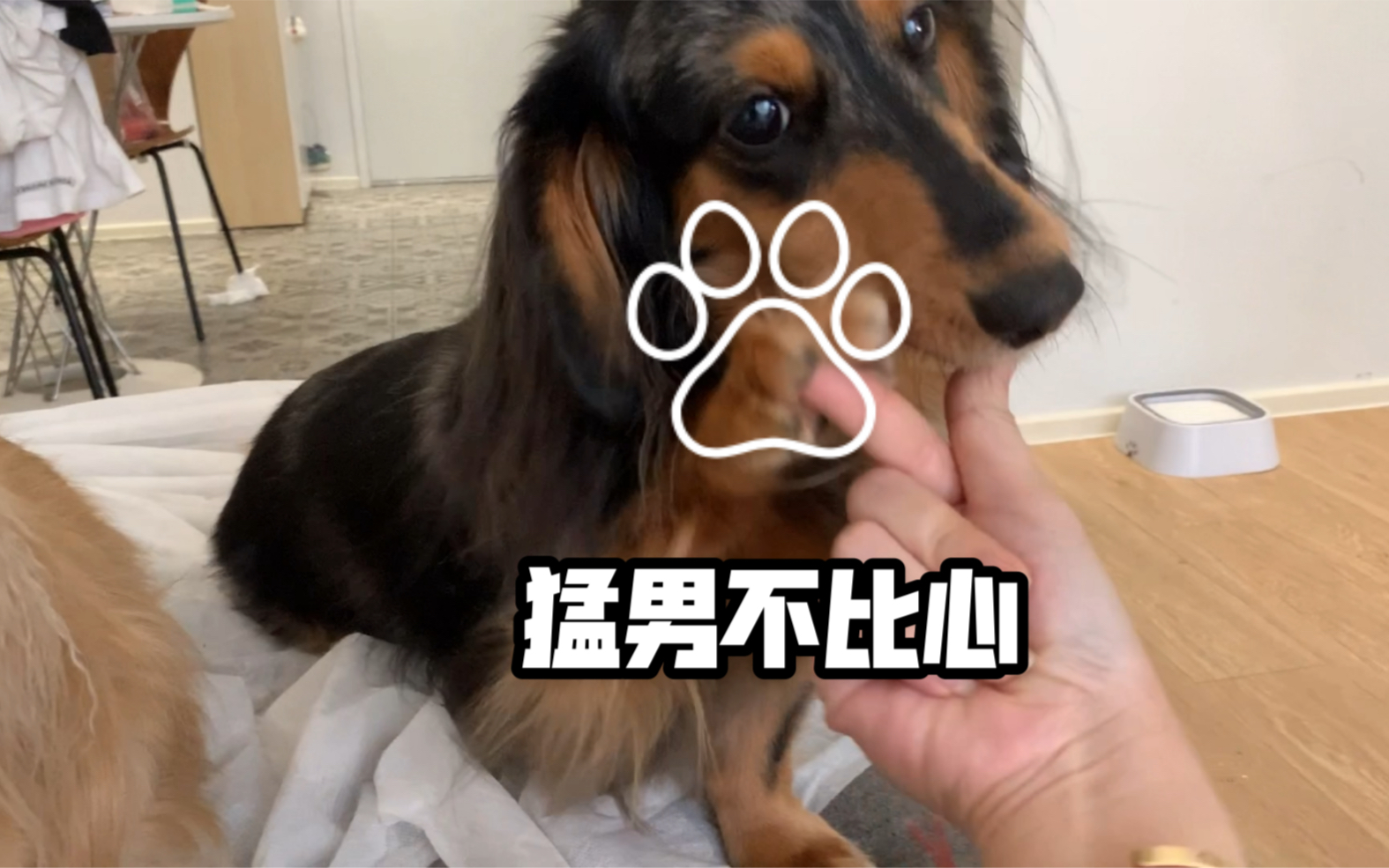 微信猛男比心表情包图片