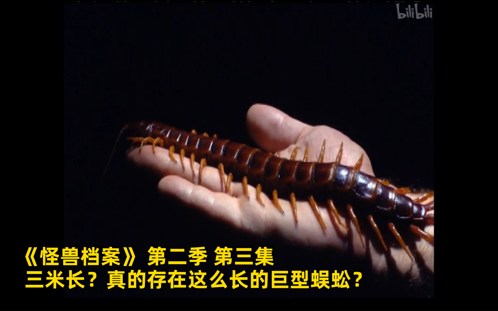 怪兽档案 第二季看点38-纪录片-高清正版在线观看-bilibili-哔哩哔哩