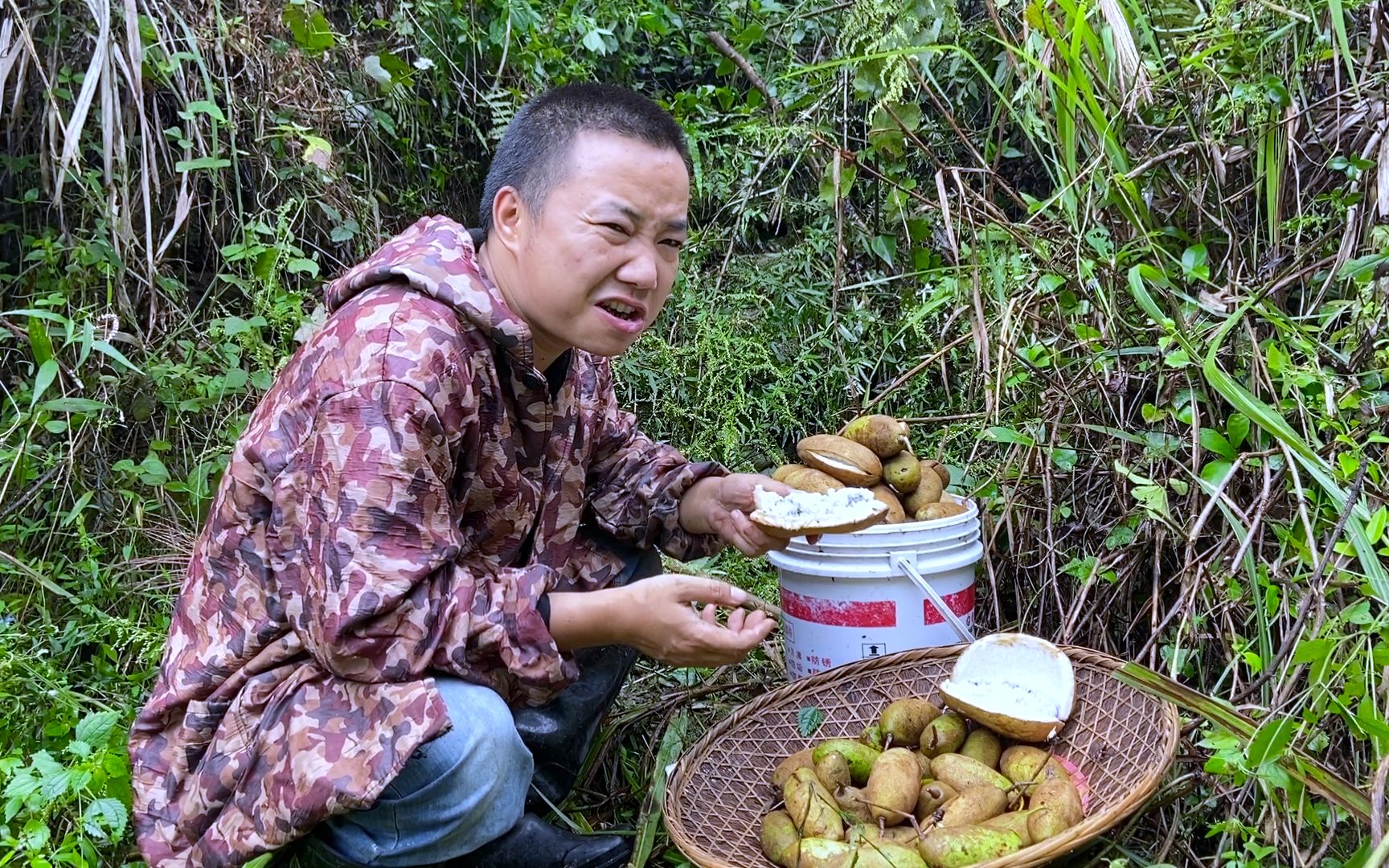 长在树上的瓜吃起来味道就是不一样,野生八月瓜真多,摘到装不下才回家哔哩哔哩bilibili