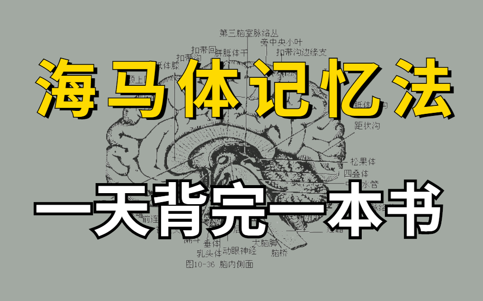 [图]如何建立大脑的记忆系统？让你一目十行，过目不忘！背书无烦恼，我终于悟道了，通过这个视频！目前B站最完整的记忆力训练教程 最强大脑冠军教练亲授：10堂超实用记忆术