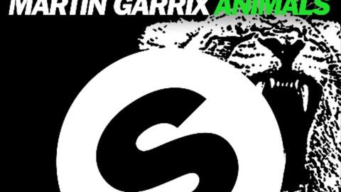 Animals－Martin Garrix-哔哩哔哩