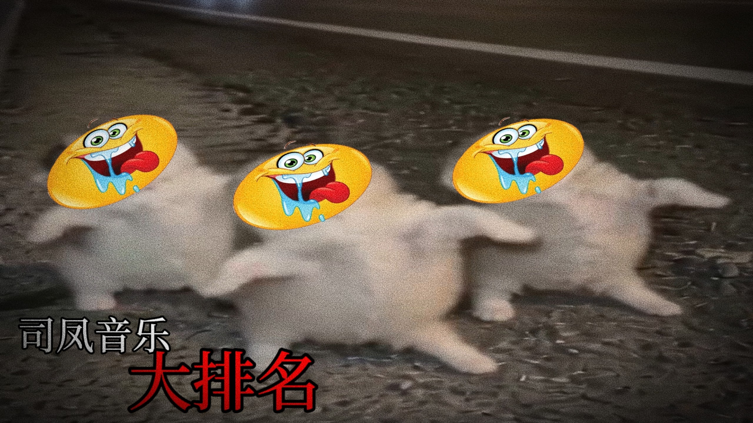 互联网司凤音乐大排名