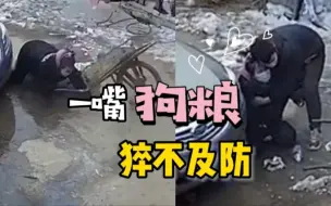 下载视频: 女子倒垃圾不慎滑倒给垃圾桶“拜早年”，男友立刻展现了“男友力”