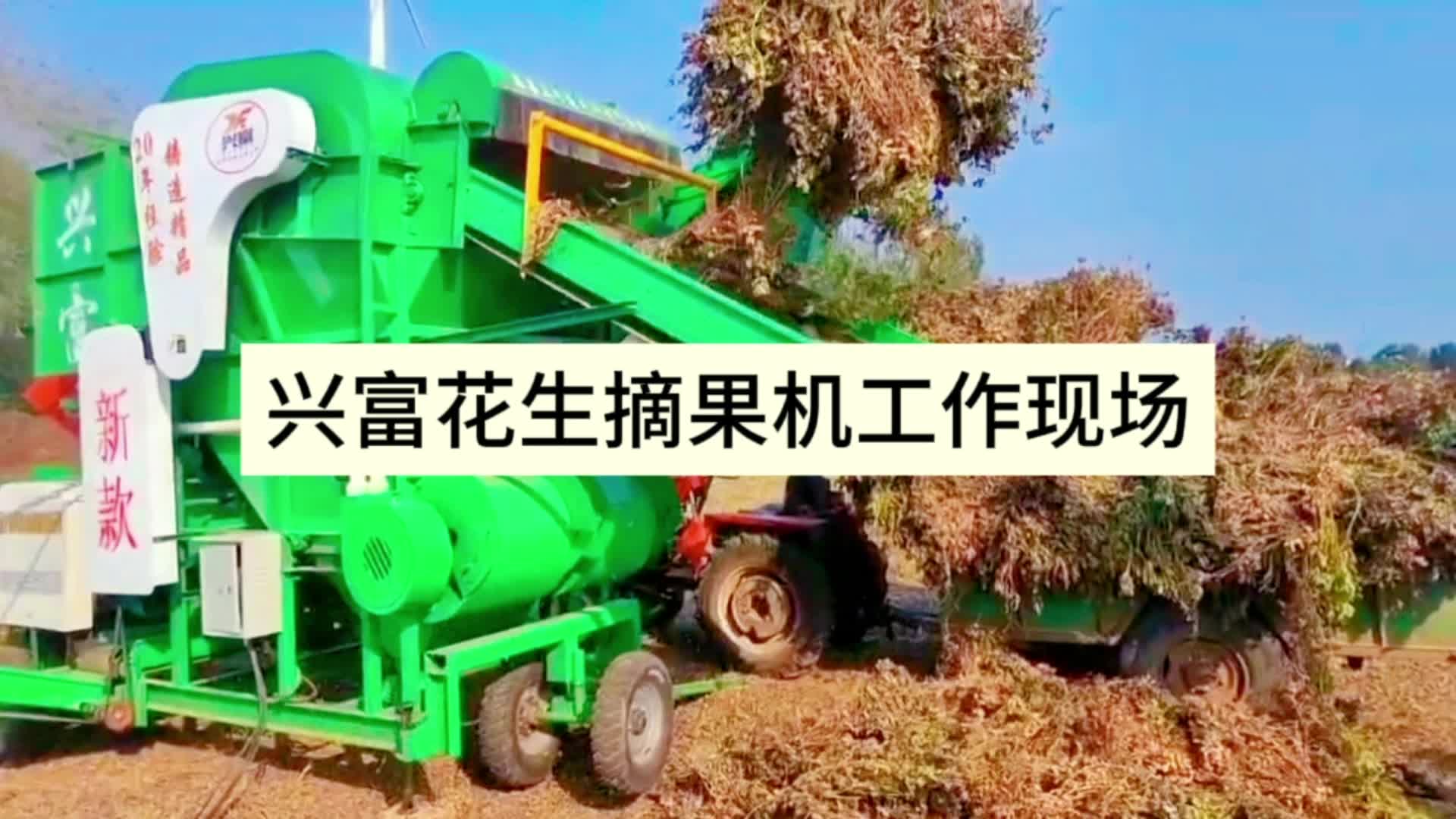 新型花生摘果机:快速分离花生与藤蔓,多层筛选除杂超干净