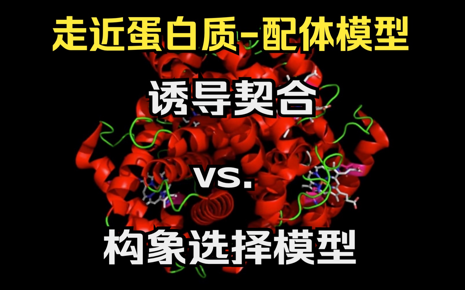 【药研科普】走近蛋白质配体模型:诱导契合vs.构象选择模型哔哩哔哩bilibili