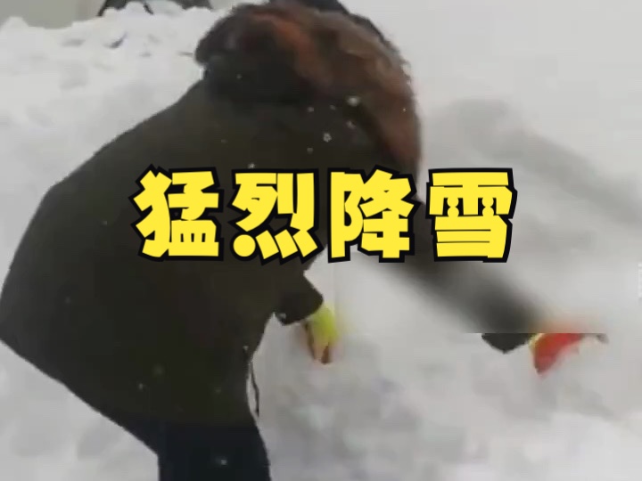 大雪连下三天,黑龙江鹤岗漠河黑河等地降雪创纪录哔哩哔哩bilibili