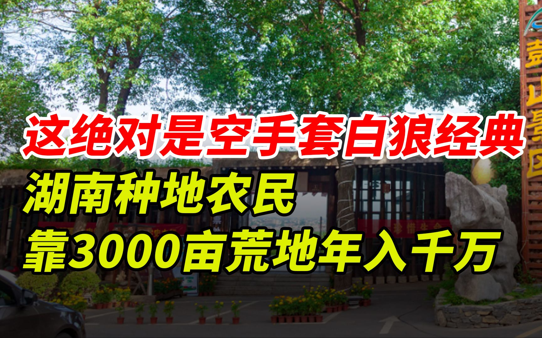 这绝对是空手套白狼经典,湖南种地农民,靠3000亩荒地年入千万!哔哩哔哩bilibili