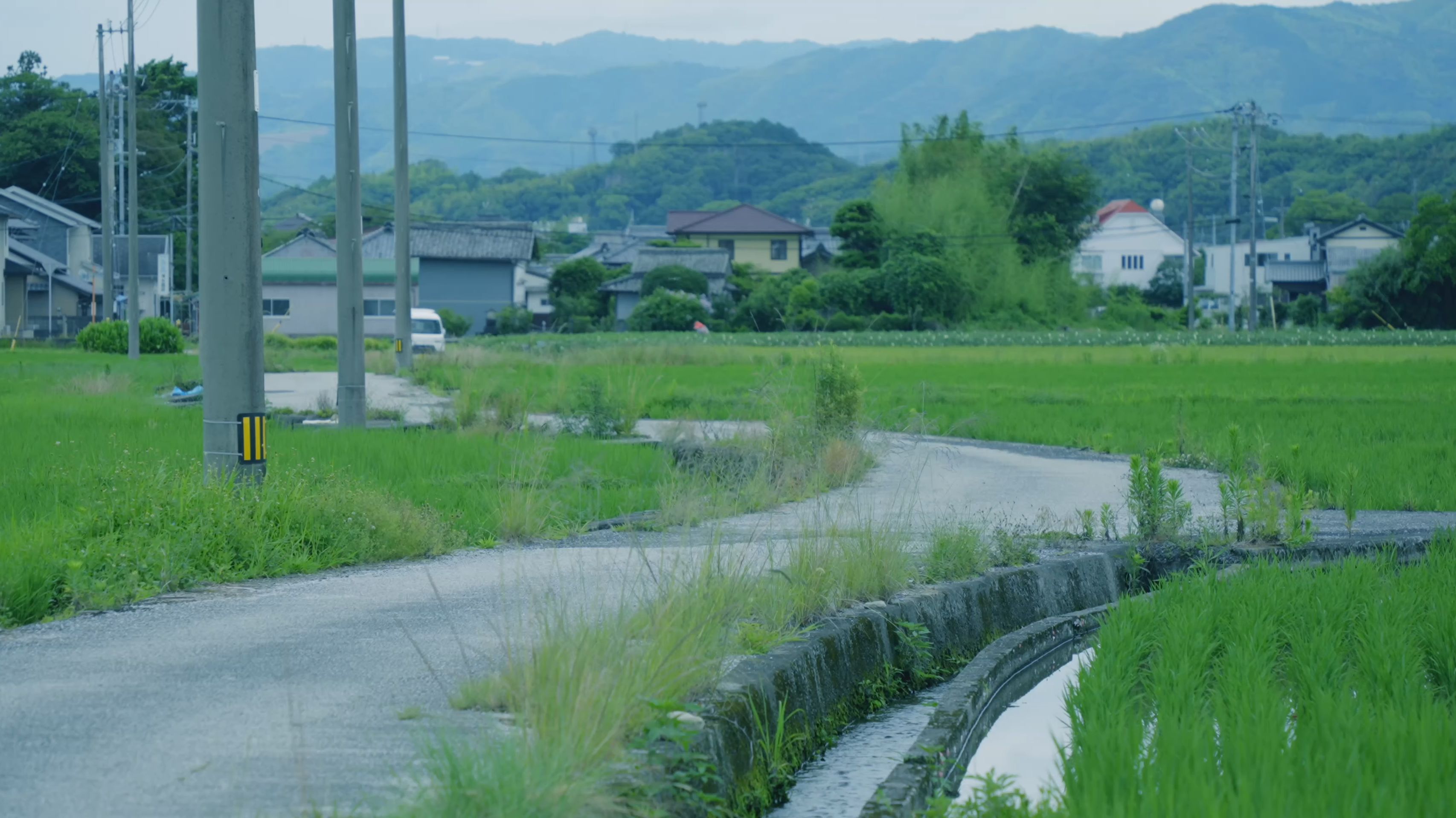 【4k雨声bgm】被雨声治愈的绿色乡村风景