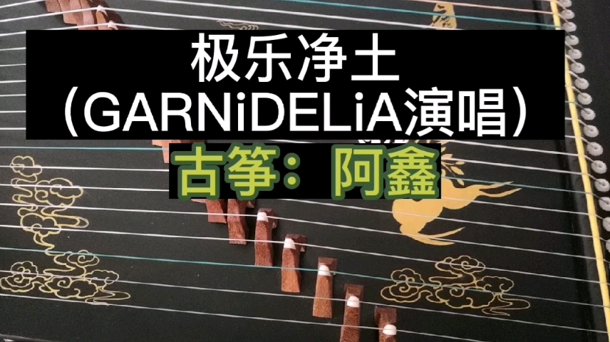 极乐净土(garnidelia演唱)古筝:阿鑫