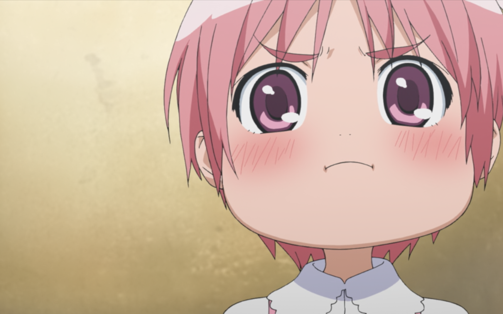 小萌老师表情包出处