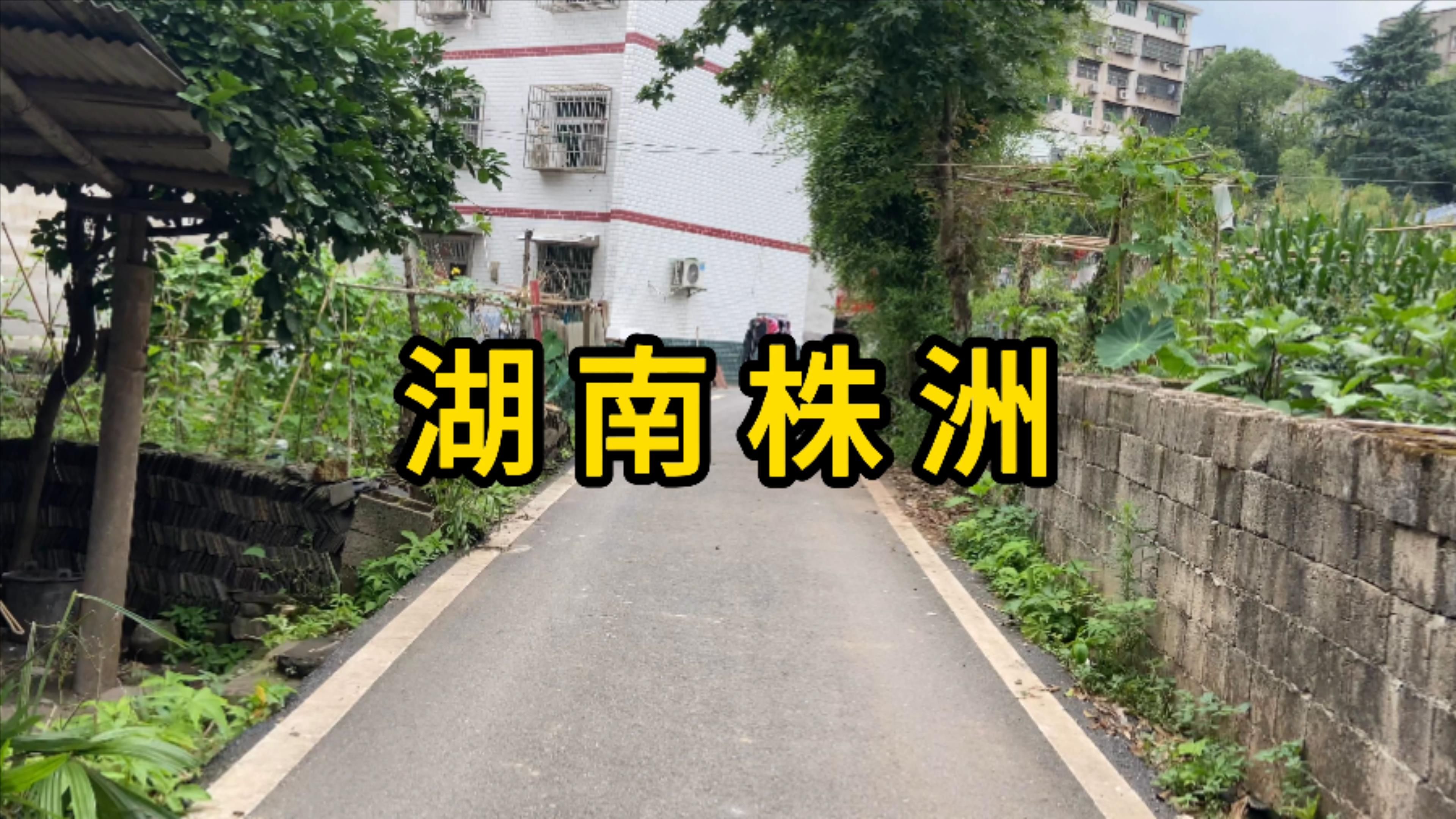 探访湖南株洲轴承路城中村 犹如世外桃源哔哩哔哩bilibili