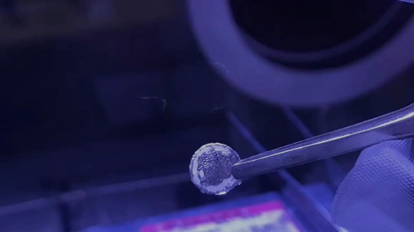 某前十985实验室的金属钠片手套箱内观察