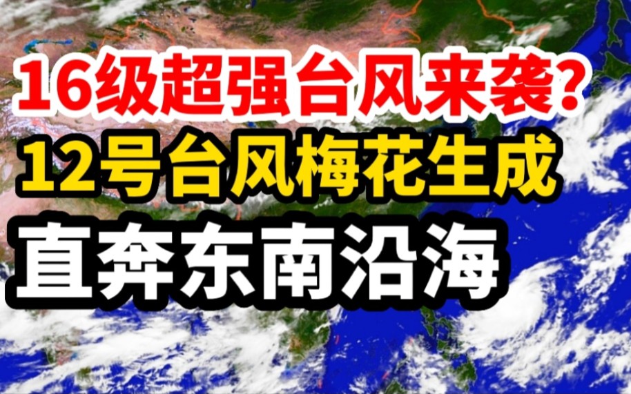 16级超强台风来袭?12号台风梅花生成,一路直奔东南沿海!哔哩哔哩bilibili