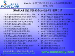 Download Video: MATLAB智能算法30个案例分析