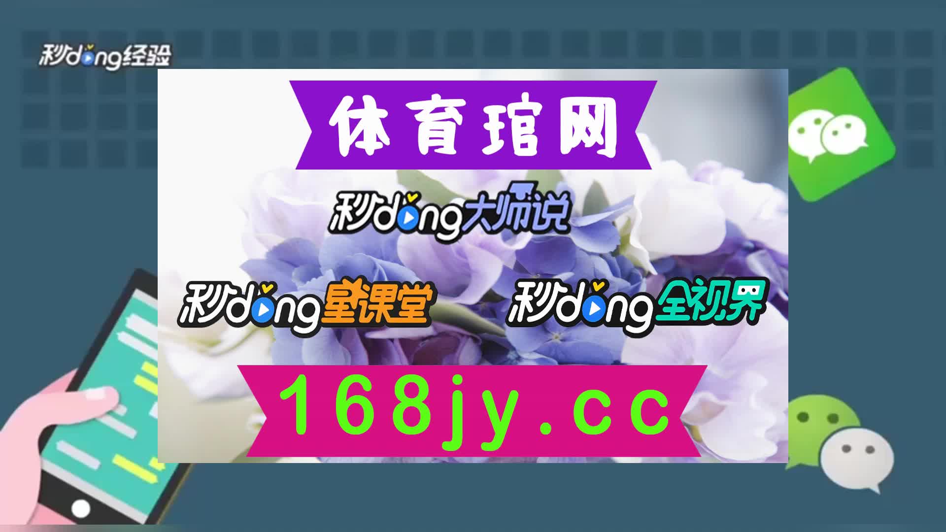 二分钟就懂了白小姐一肖一码100准