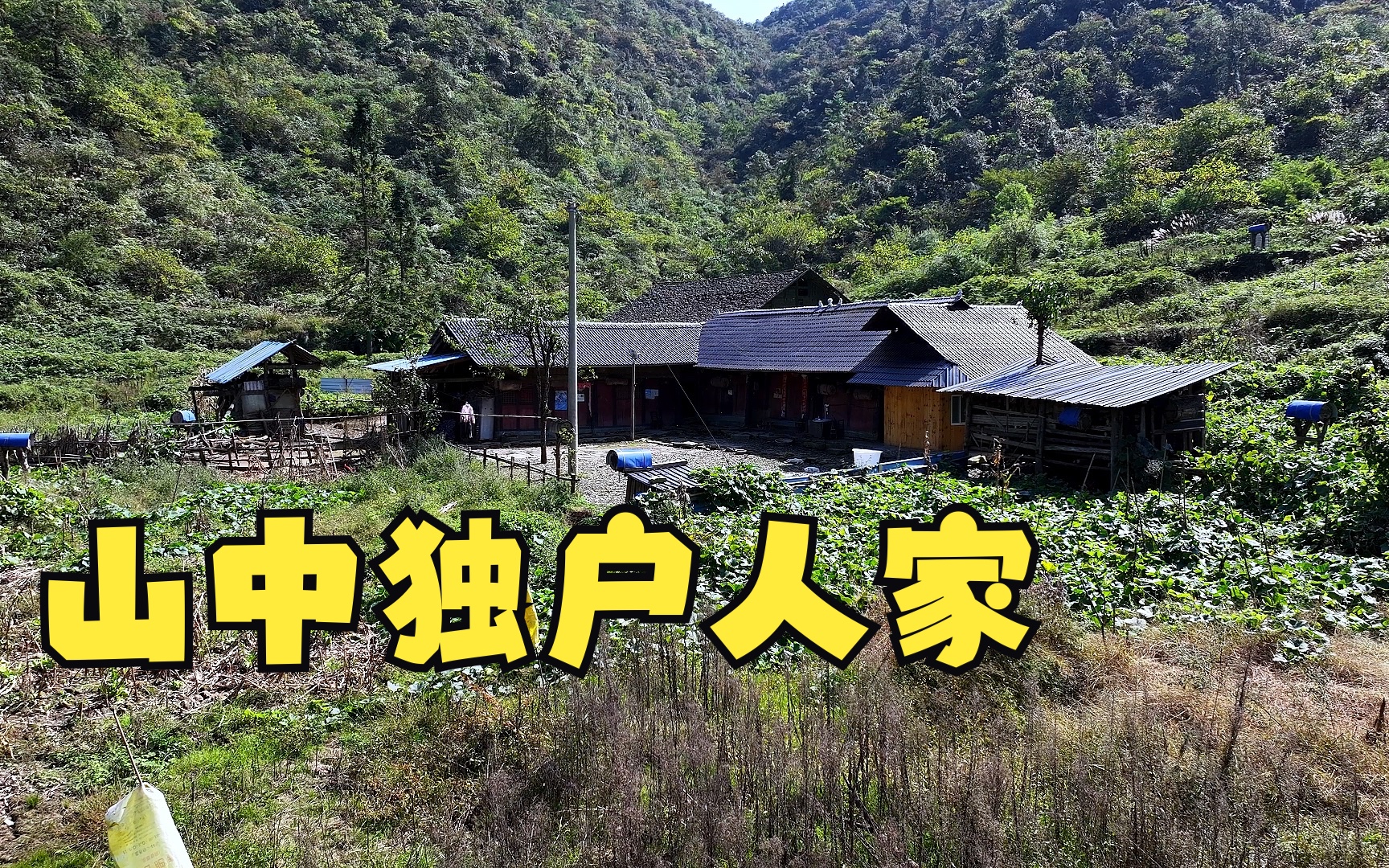 [图]贵州90岁母子隐居深山，养蜂种菜仿佛与世隔绝，每年还能赚10万块