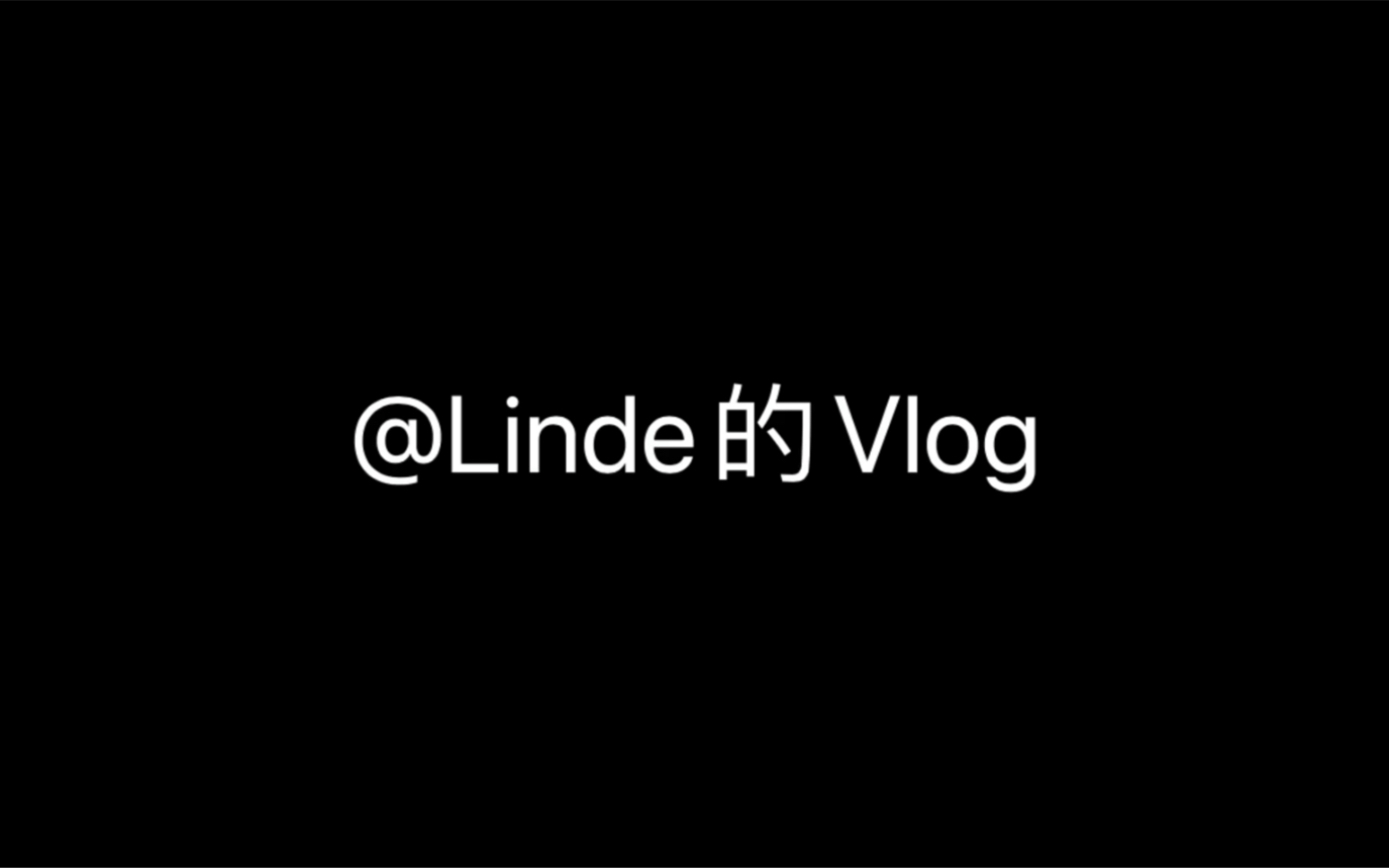 Linde的Vlog哔哩哔哩bilibili