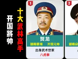 下载视频: 开国将帅中十大武林高手