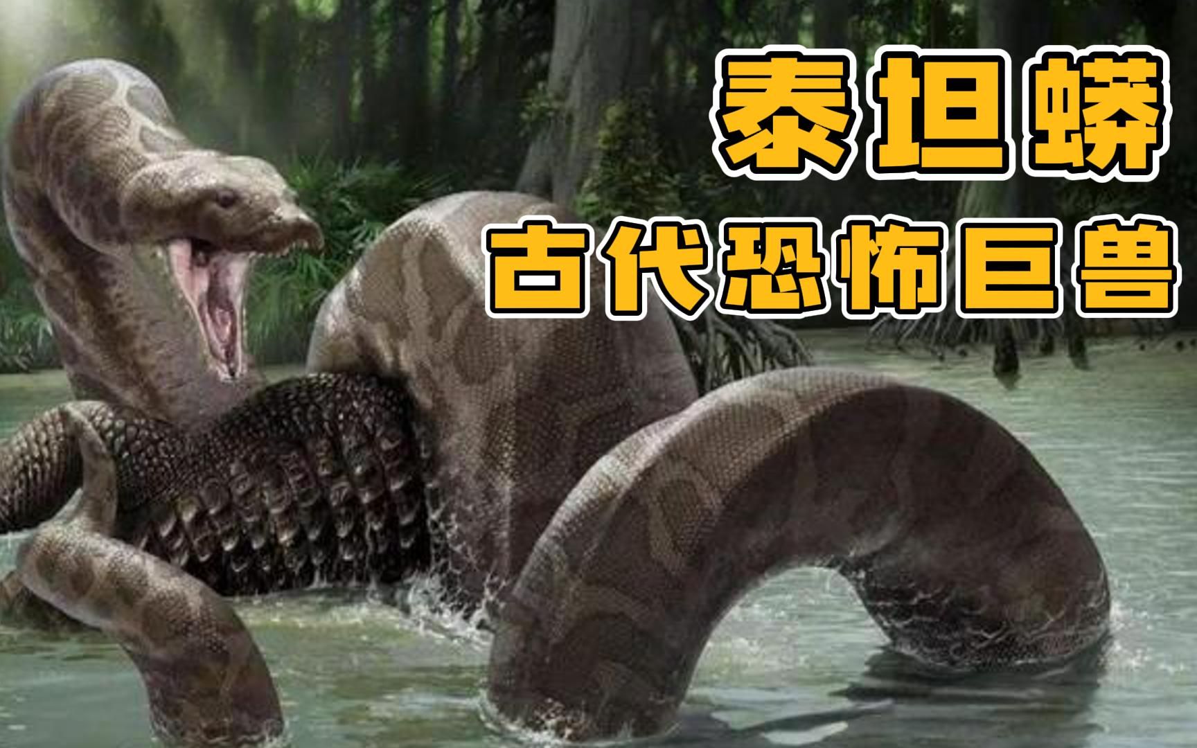 泰坦蟒:古代地球上的恐怖巨兽