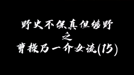 曹操乃一介女流(15)