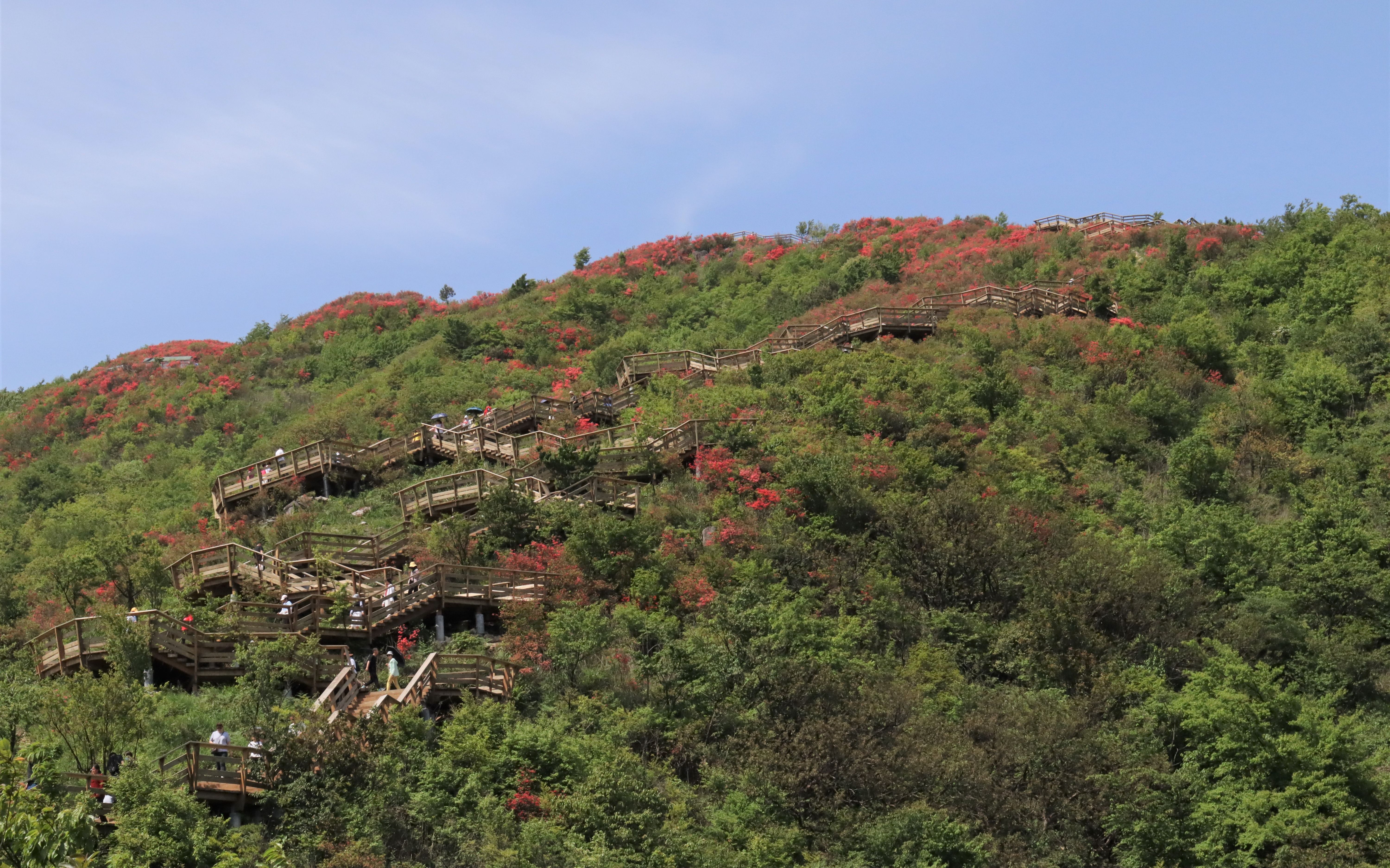 享受自然,大美衢州,六春湖