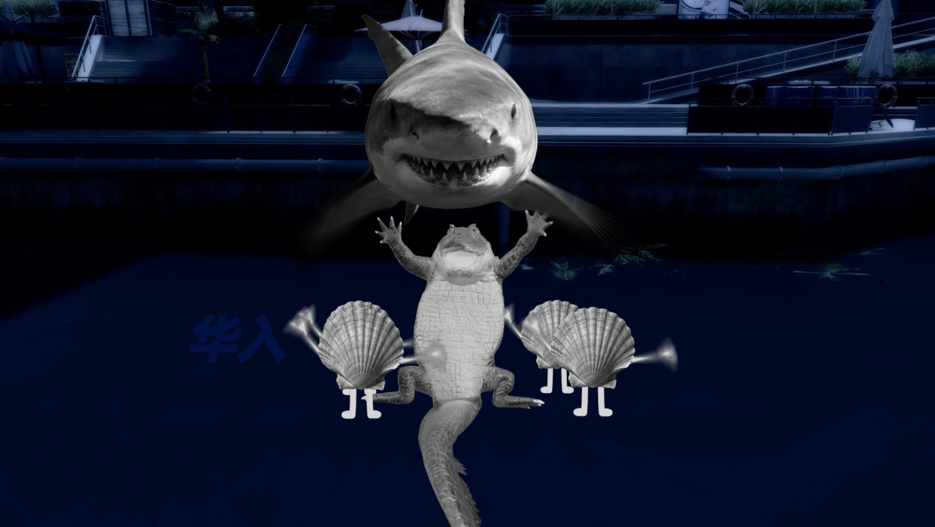 不知道该捂眼睛还是耳朵了