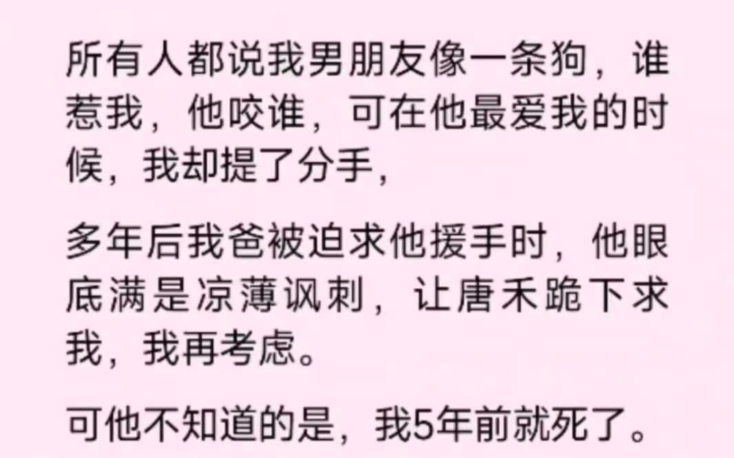 所有人都说我男朋友像一条狗,谁惹我,他咬谁,可是偏偏在他最爱我的时候,我却提了分手…哔哩哔哩bilibili