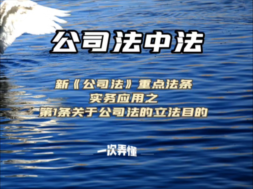 新公司法重点法条实务应用之第一条关于公司法的立法目的哔哩哔哩bilibili