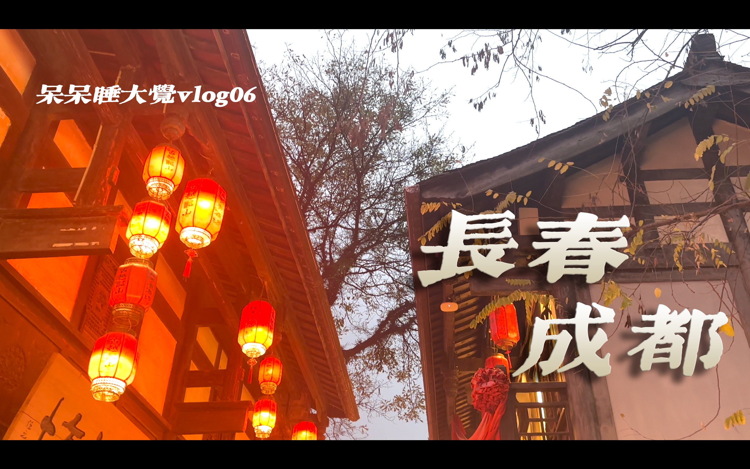 【vlog#6长春 成都】呆呆睡大觉不打排位的旅游日常|东北烧烤|砂锅麻辣烫|春熙路|锦里哔哩哔哩bilibili