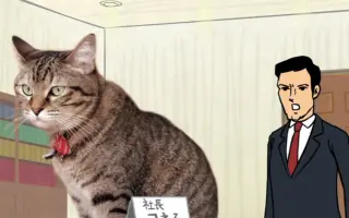 泥棒猫 哔哩哔哩 Bilibili