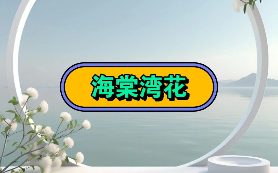 《海棠湾花》☞知乎☞后续☞#网络小说#女生爱看的小说#日推小说推文哔哩哔哩bilibili