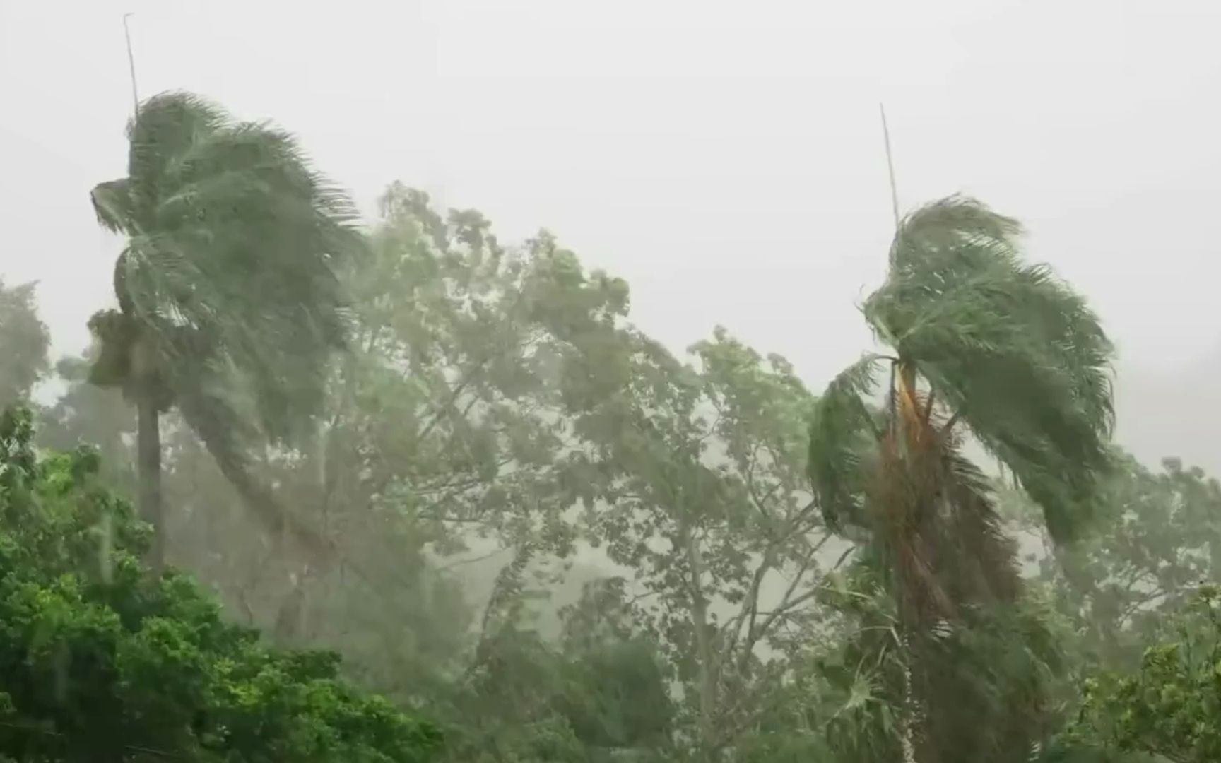 [图]狂风暴雨大作，树木在风中摇摆不停