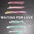 【Cyrus-小可】  致敬Avicii  库乐队重制版Waiting for love