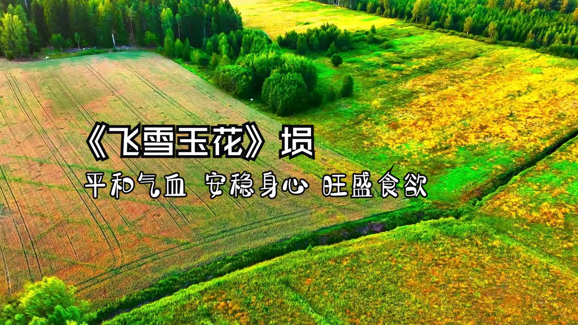 土音入脾,平和气血,安稳身心,旺盛食欲,情绪低落等可多听用《飞雪玉花