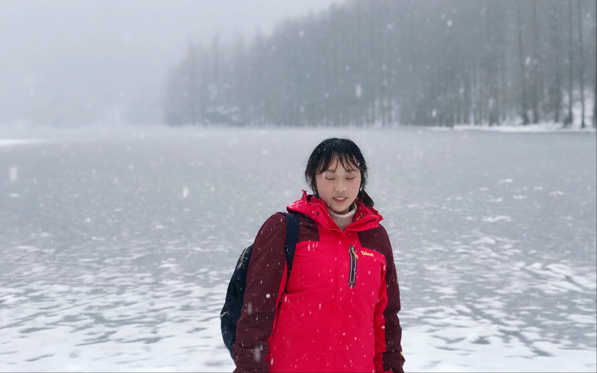 [图]就是那个南方没见过雪的孩子-那是雪落香杉树的感觉呀