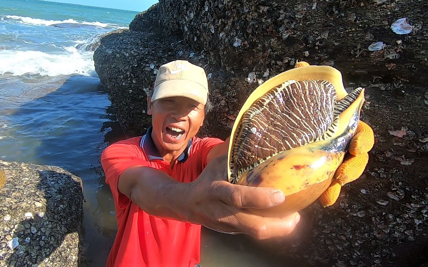 来叔凭老渔民经验抓好货,至少长了六年的大海螺,今天真是好福气_哔哩