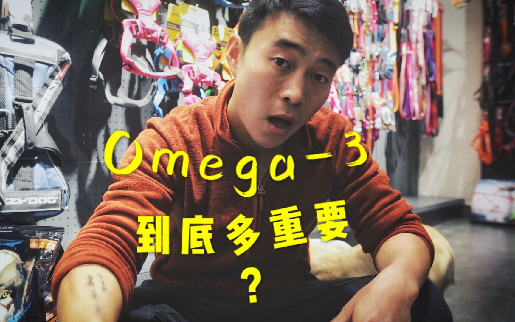 【三言两语】欧米伽3(Omega3)到底有多重要?多重要是多重要?为啥那么重要?要要要要要...哔哩哔哩bilibili