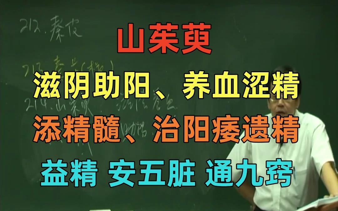 倪海厦 山茱萸 滋阴助阳 能收汗能救急 久服轻年不老 神农本草经 可以经常吃的哔哩哔哩bilibili