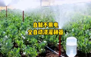 Tải video: 小伙利用pvc水管，自制一个不用电全自动浇灌装置，省去了人力成本，还节省用水量，非常实用！