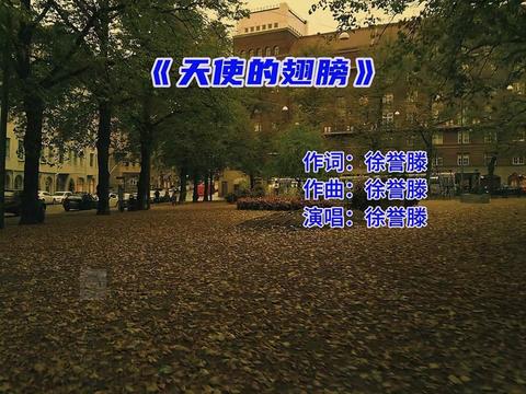 《天使的翅膀》哔哩哔哩bilibili