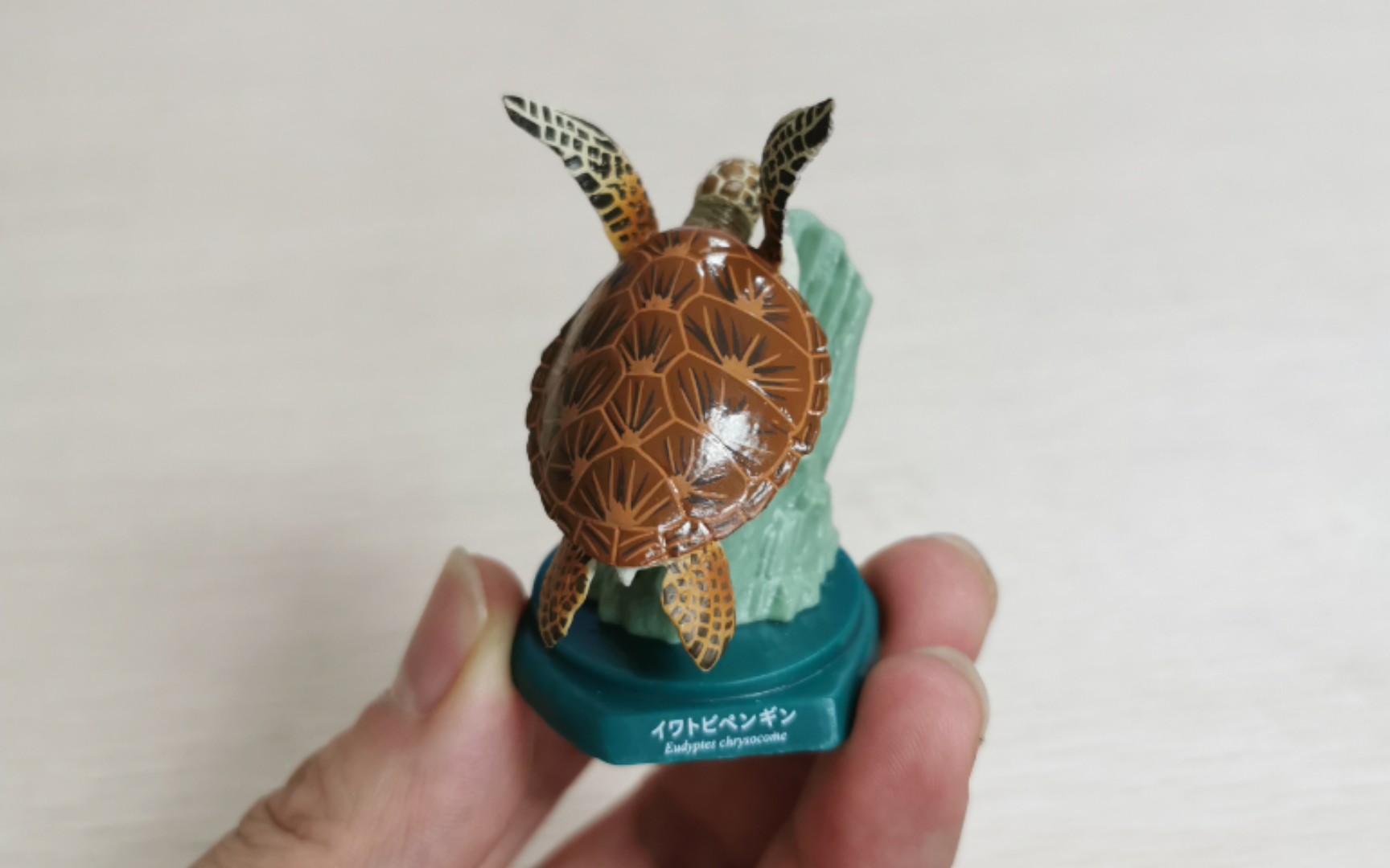 海洋堂 日本的水族馆系列扭蛋