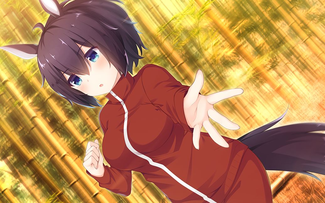 神明的尾巴-午马篇_哔哩哔哩 (゜-゜)つロ 干杯~-bilibili