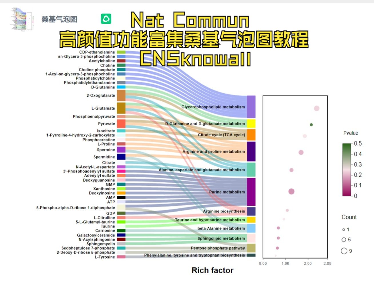 Nat Commun | 高颜值功能富集桑基气泡图教程 | CNSknowall哔哩哔哩bilibili