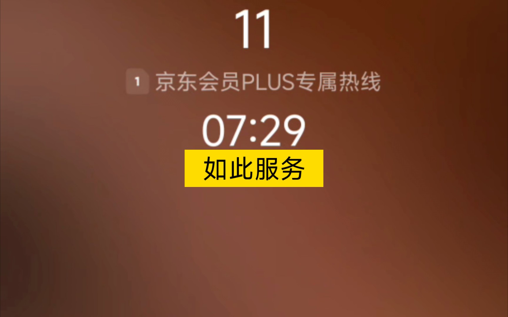 如此服务,好一个京东plus专属热线(10分钟没人接)哔哩哔哩bilibili
