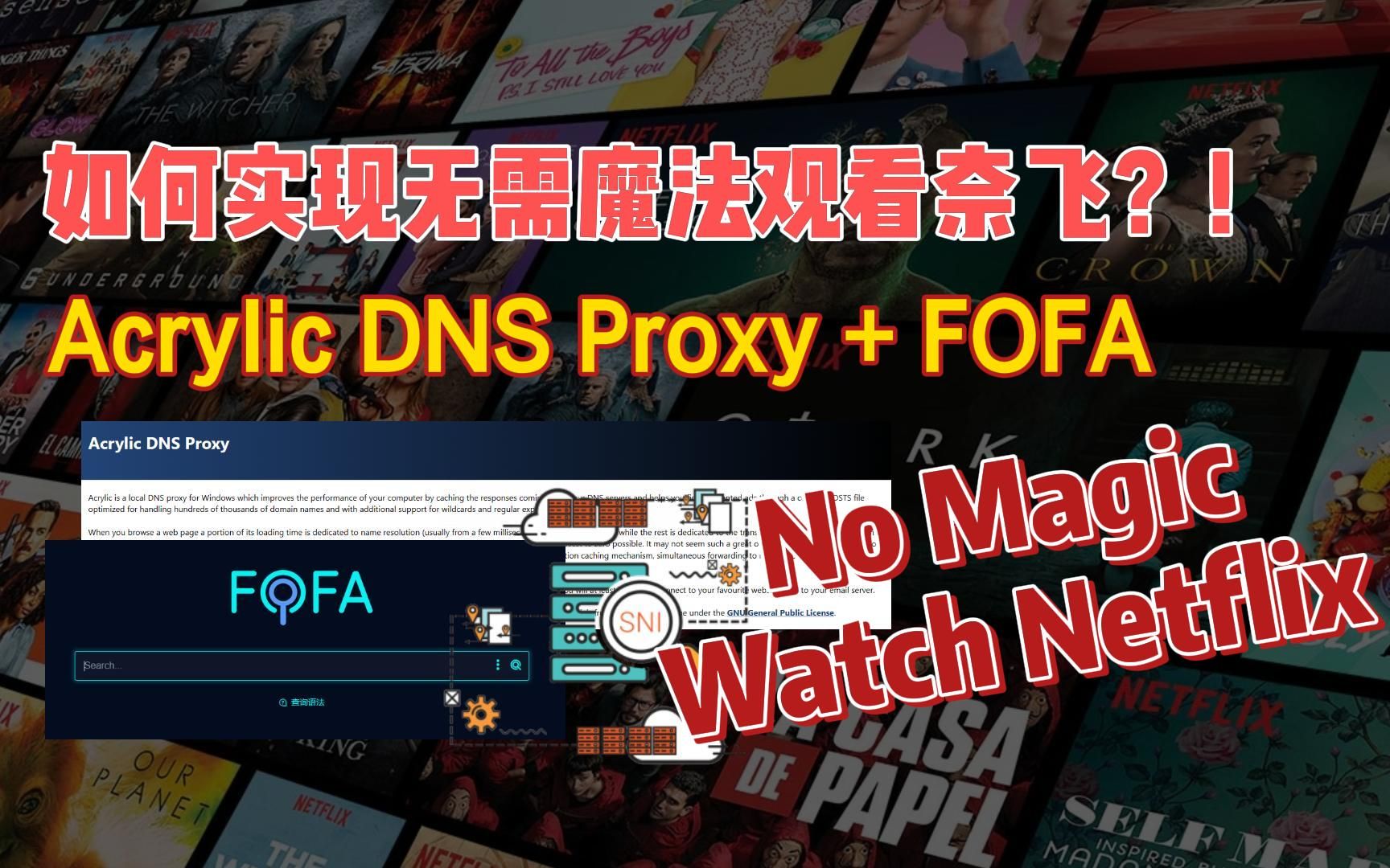 [图]如何实现无需魔法观看奈飞？Acrylic DNS Proxy+FOFA