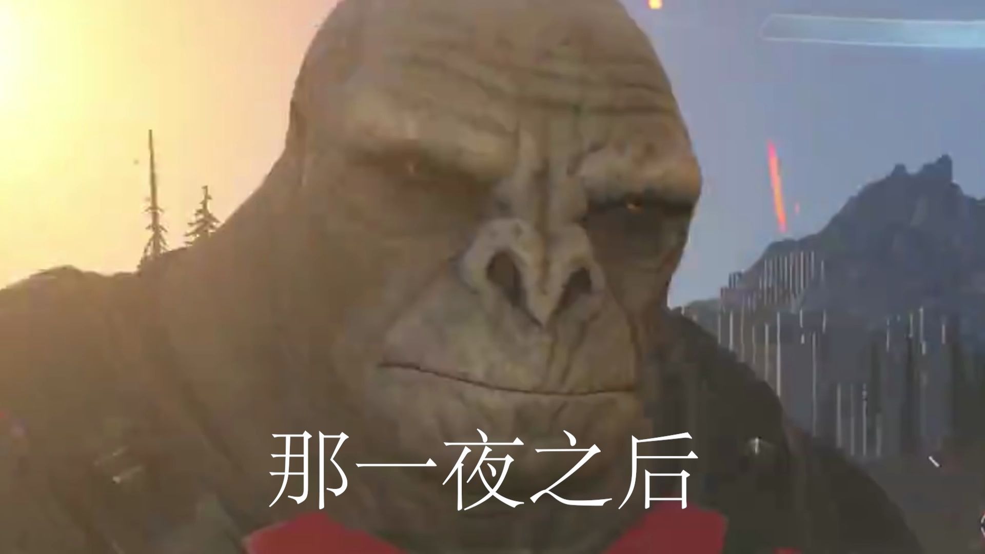 那一夜之后国外的鬼面兽梗图节选_哔哩哔哩_bilibili