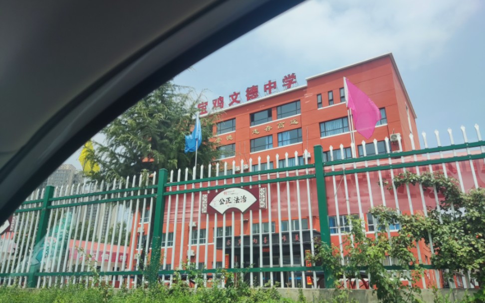 8.1_哔哩哔哩_bilibili