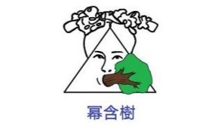 高考一轮复习：2.4二次函数与幂函数