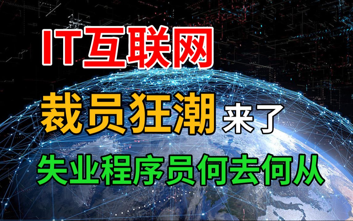 2024失业重灾区——IT互联网!程序员该如何应对“裁员”?【马士兵】哔哩哔哩bilibili