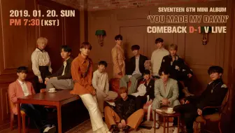 【SEVENTEEN】【中字】190120 回归D-1全员直播